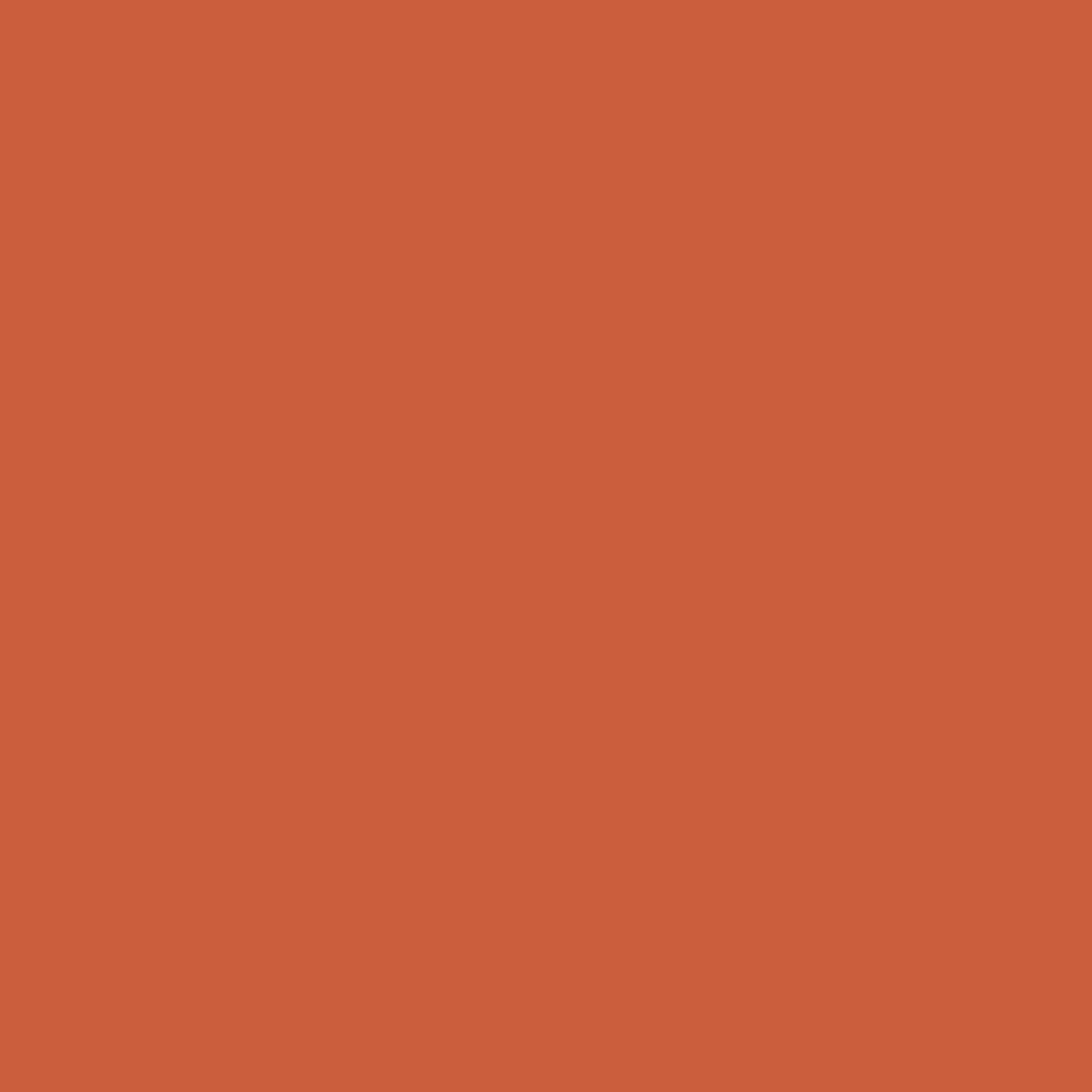 2170-20 Tropical Orange - Paint Color | The Color Company