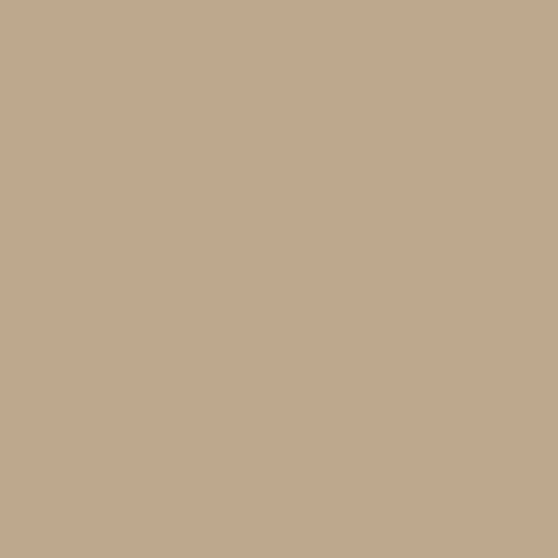 1033 Hillsborough Beige