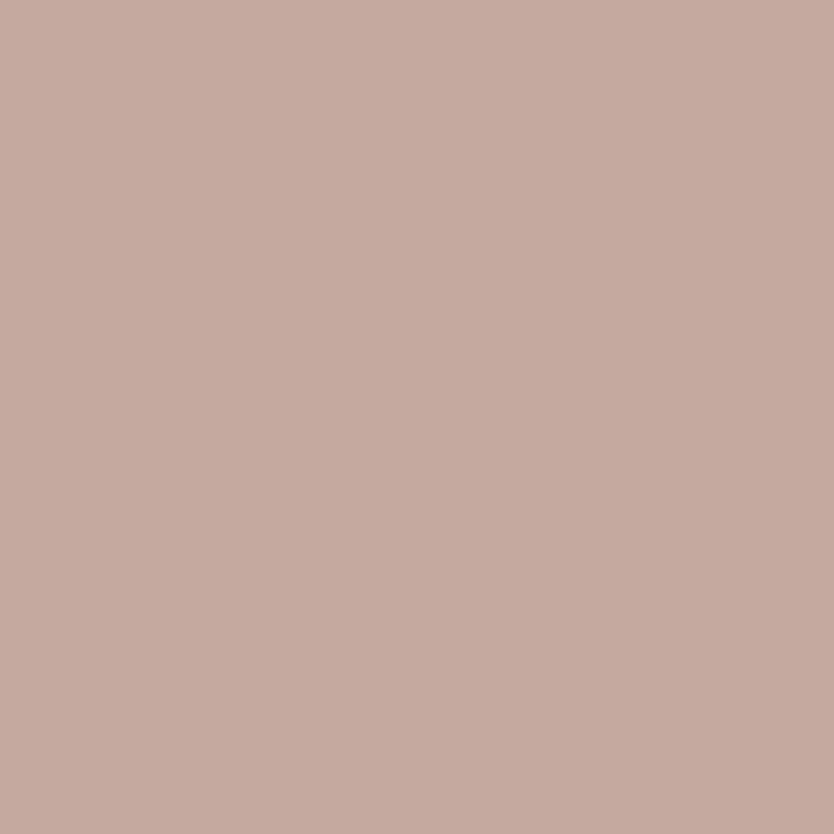 2099-50 Café Mocha - Paint Color | The Color Company
